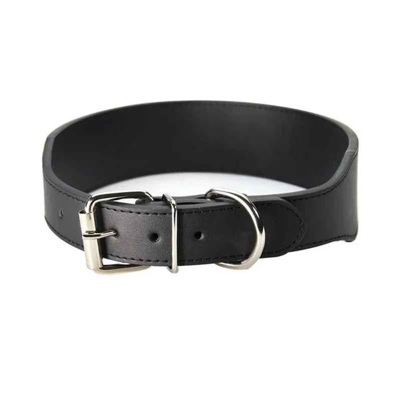 Collier chiot pas cher