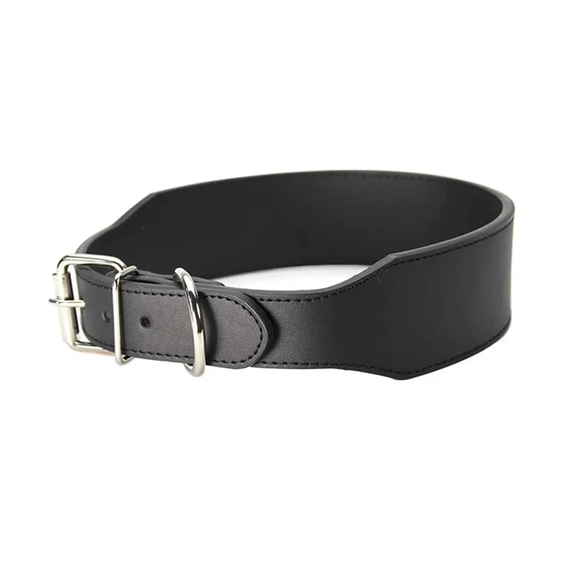 Collier chiot pas cher