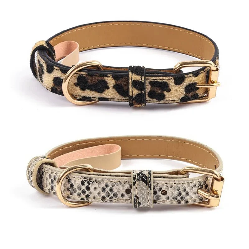Collier chien chic