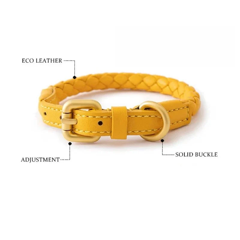 Collier en cuir rond pour chien