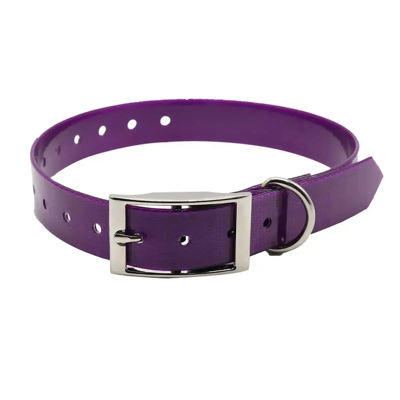 Collier chien de chasse