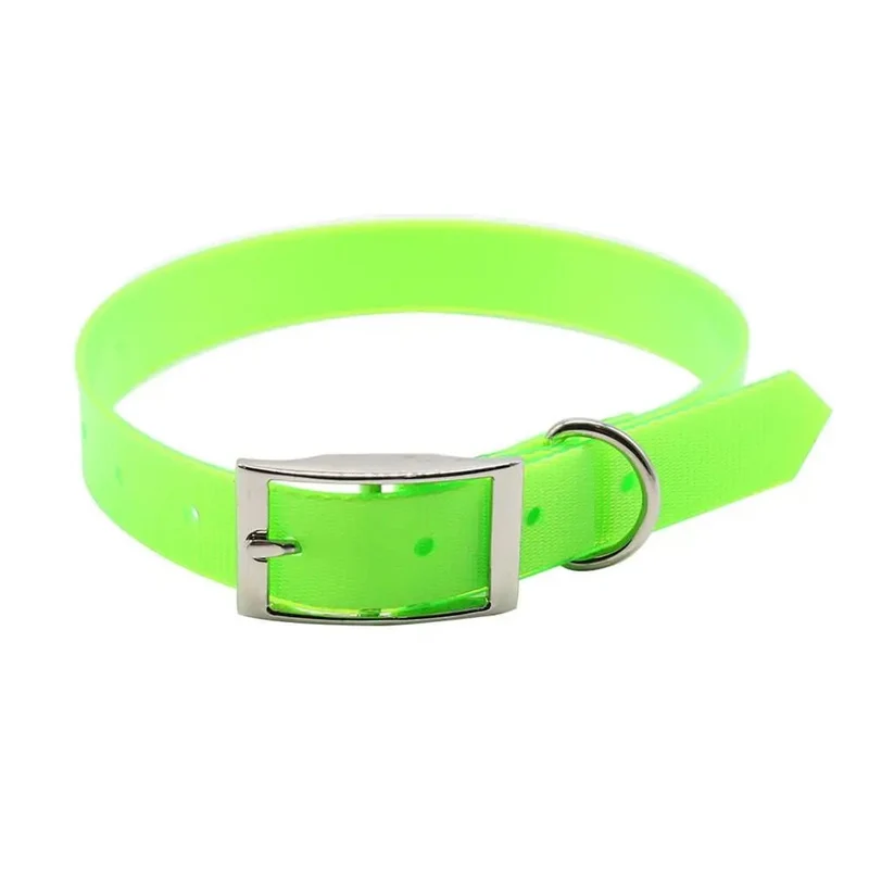 Collier chien de chasse