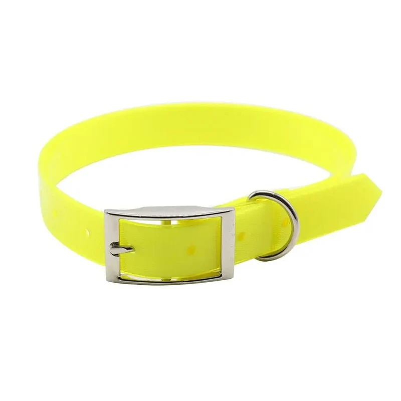 Collier chien de chasse