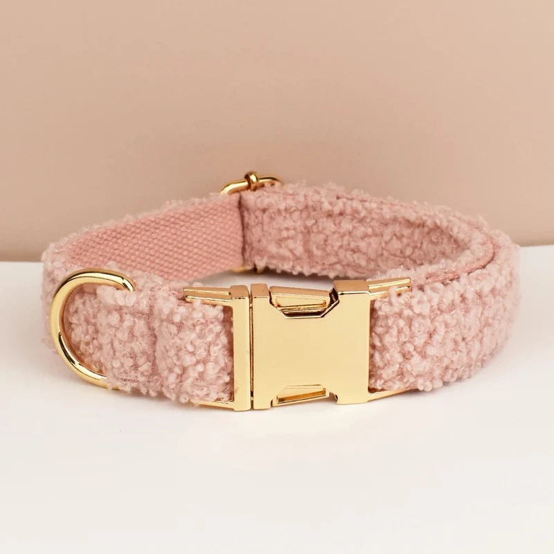 Beau collier chien