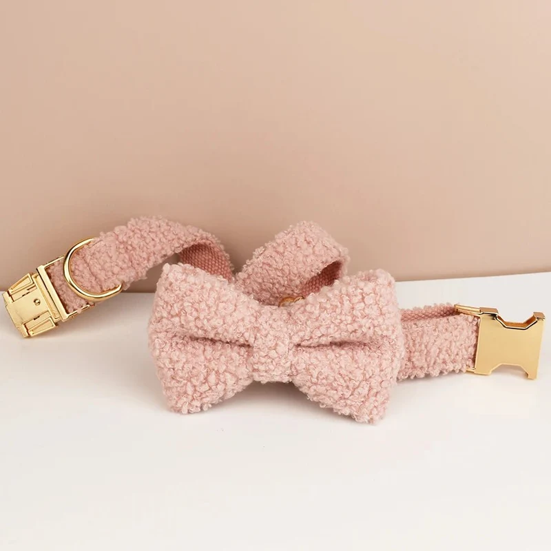 Beau collier chien