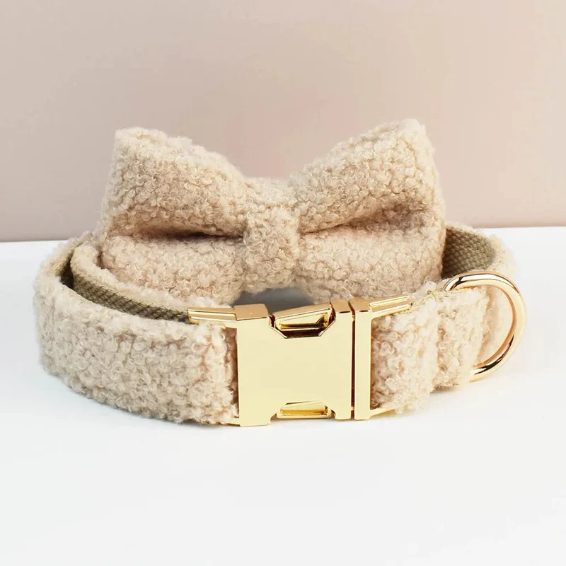 Beau collier chien
