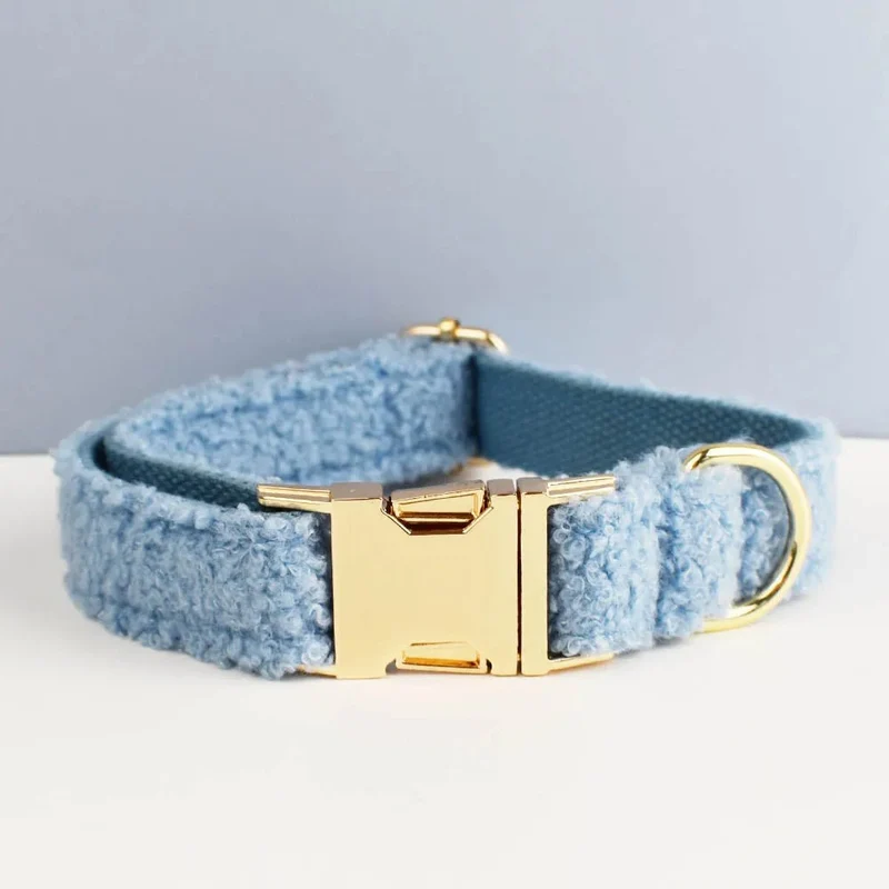 Beau collier chien