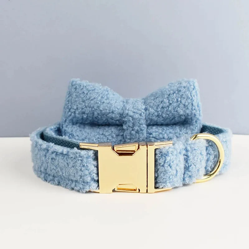 Beau collier chien