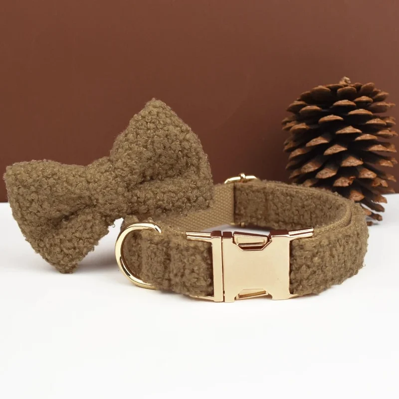 Beau collier chien