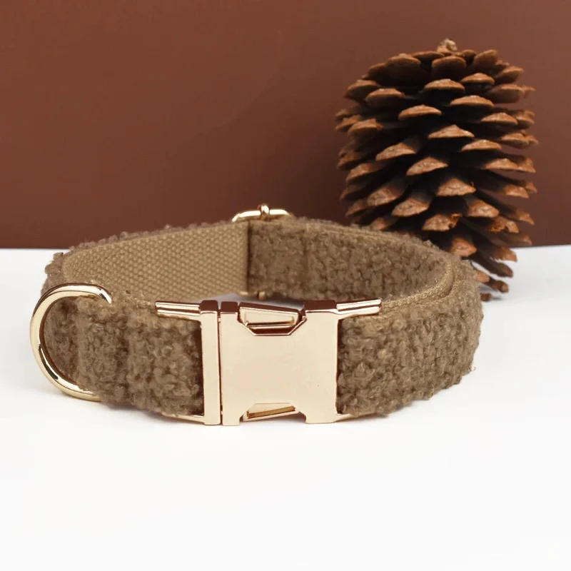 Beau collier chien