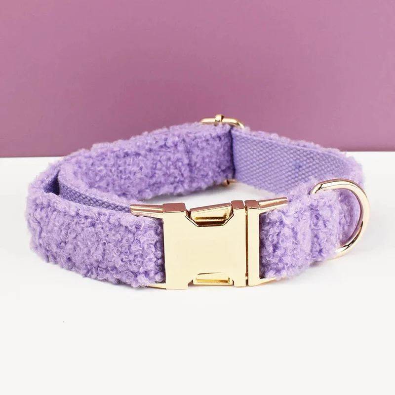 Beau collier chien