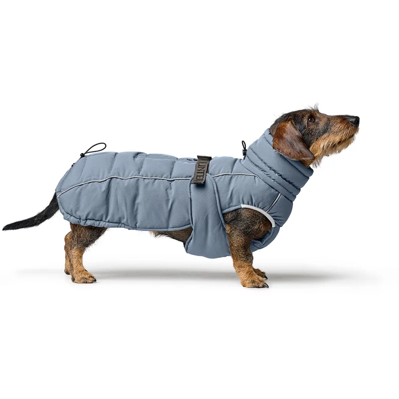 Hundemantel Paxson Dackel