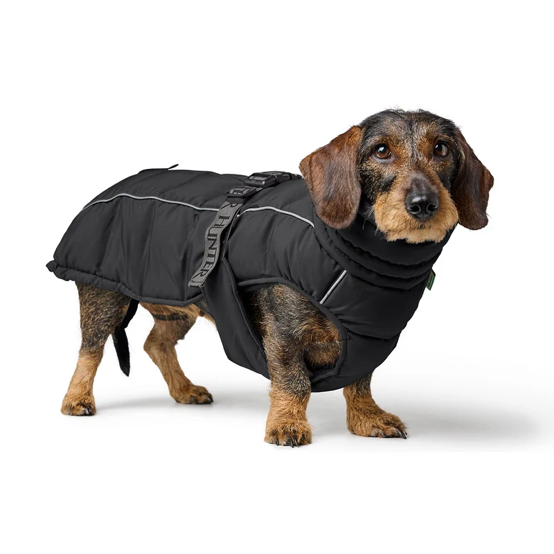 Hundemantel Paxson Dackel