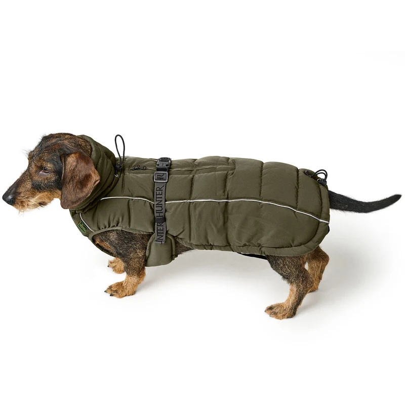 Hundemantel Paxson Dackel