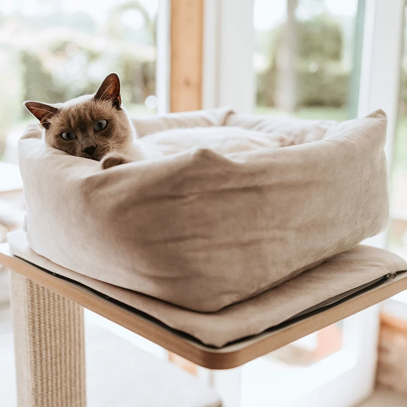 Katzenbett Dreamie
