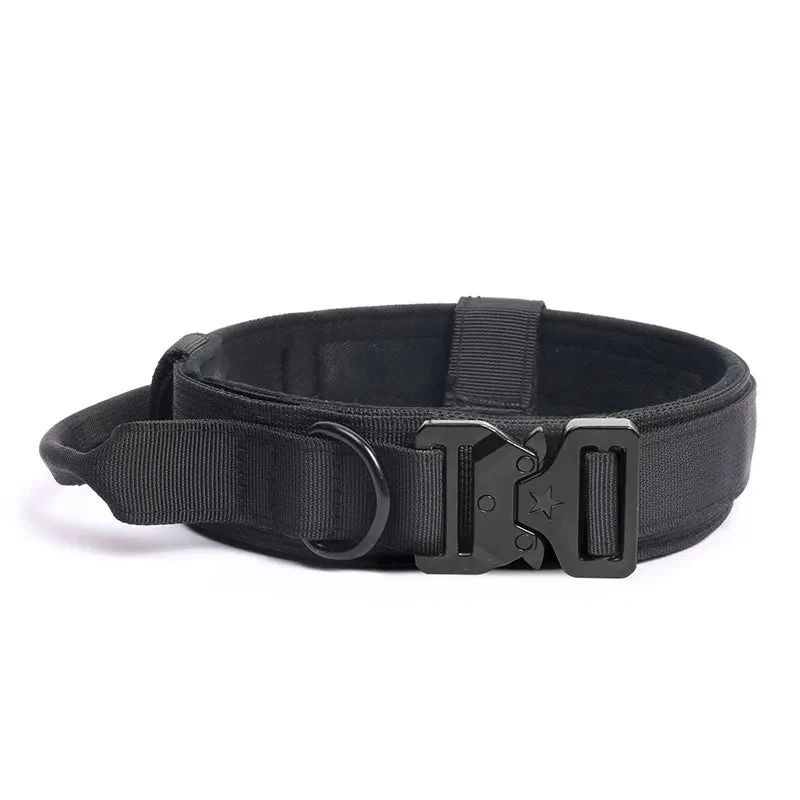 Collier militaire chien