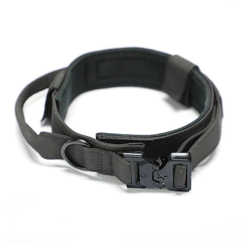 Collier militaire chien