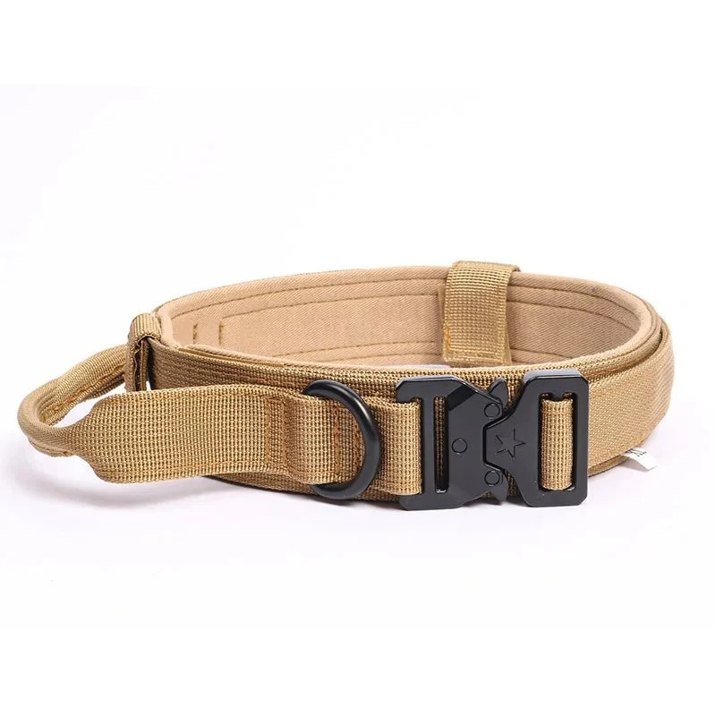 Collier militaire chien