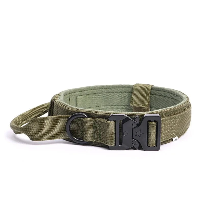 Collier militaire chien