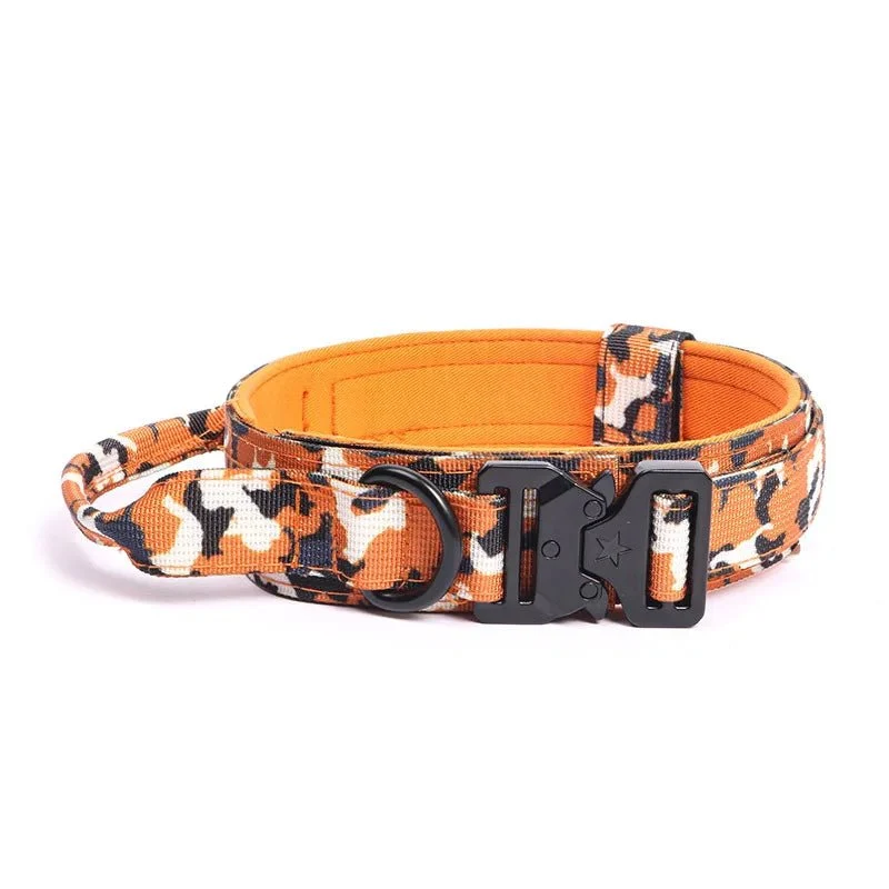 Collier militaire chien