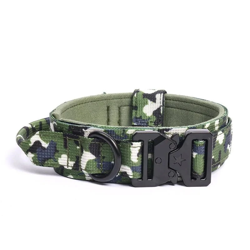 Collier militaire chien