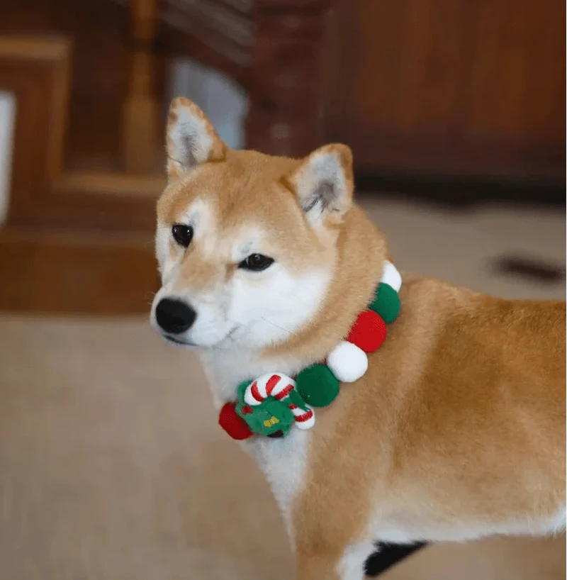 Collier noel pour chien