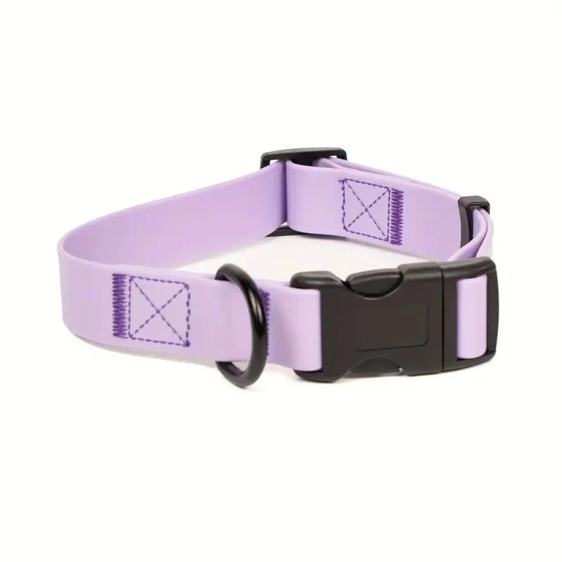 Collier pour chien violet