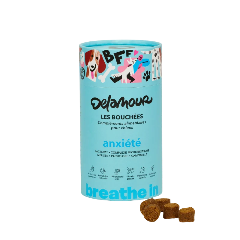 Les Bouchées pour chien - Delamour