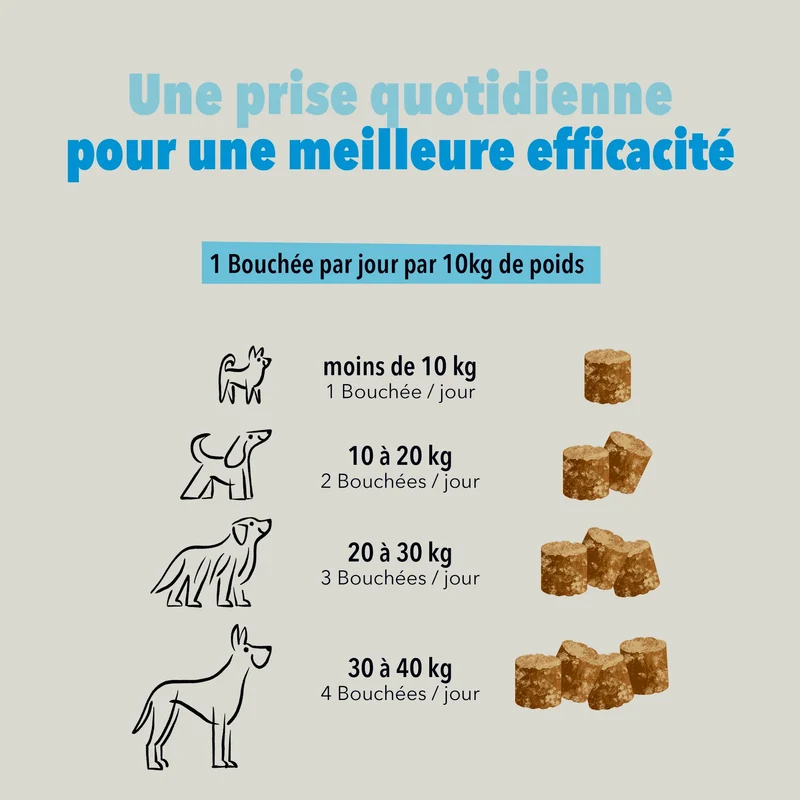 Les Bouchées pour chien - Delamour
