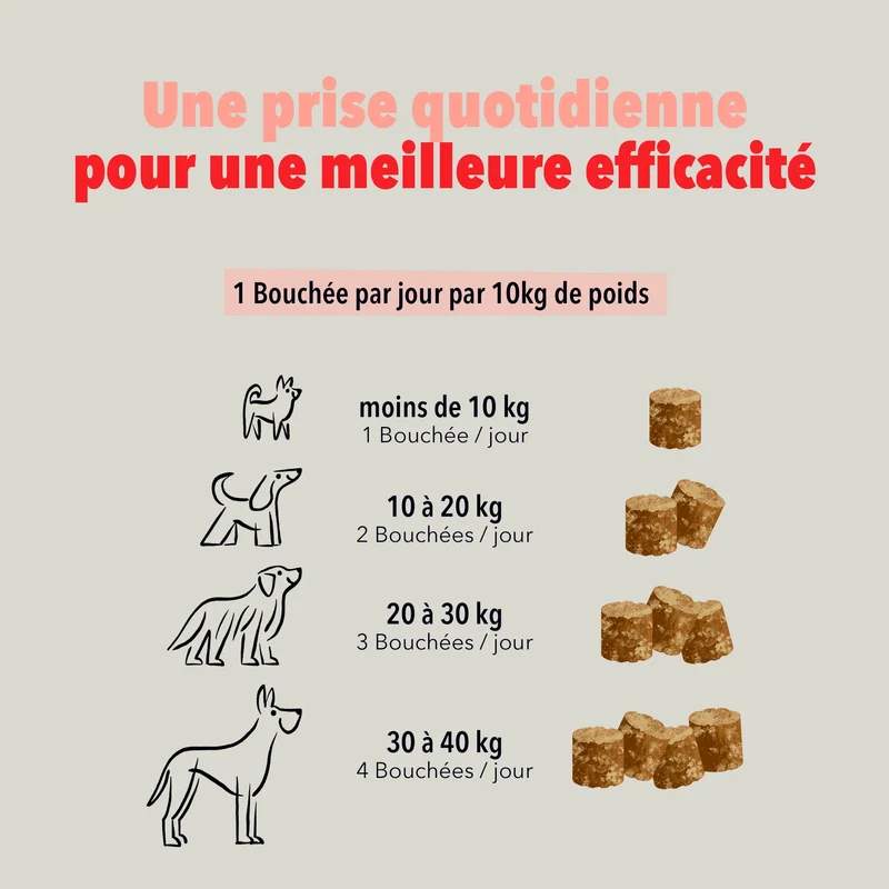 Les Bouchées pour chien - Delamour