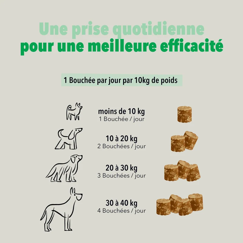 Les Bouchées pour chien - Delamour