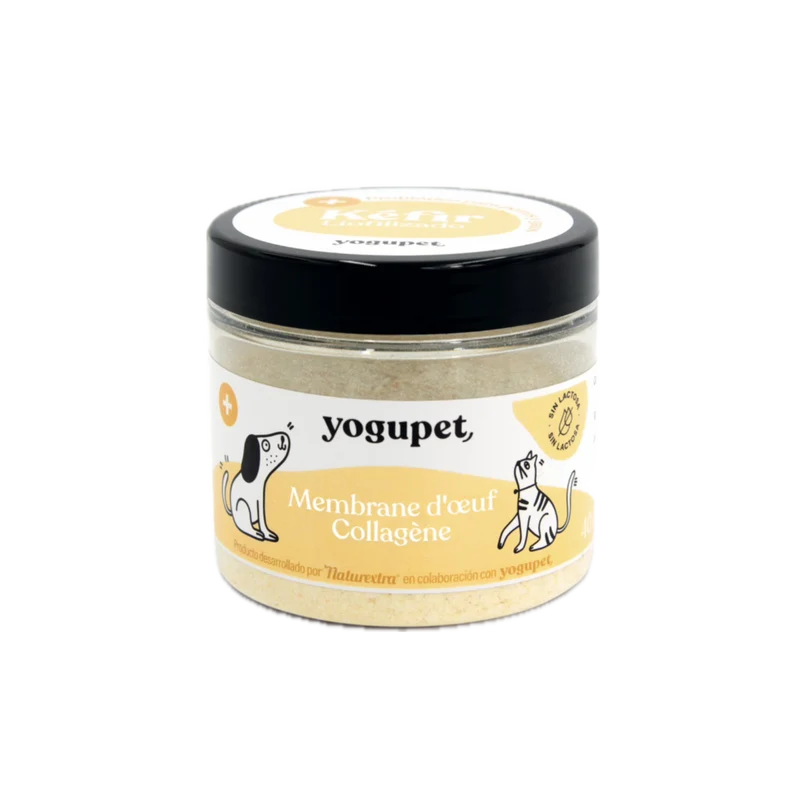 Kéfir lyophilisé pour chien et chat - Anti inflammatoire - Yogupet