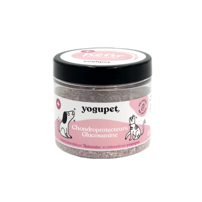 Kéfir lyophilisé pour chien et chat - Articulaire - Yogupet