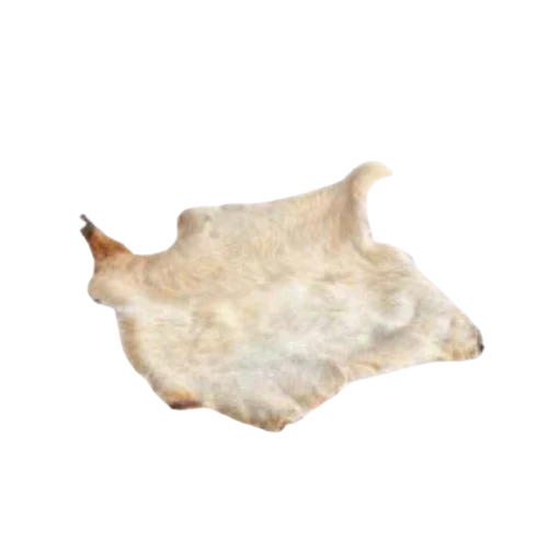 Plaque peau de boeuf avec poils