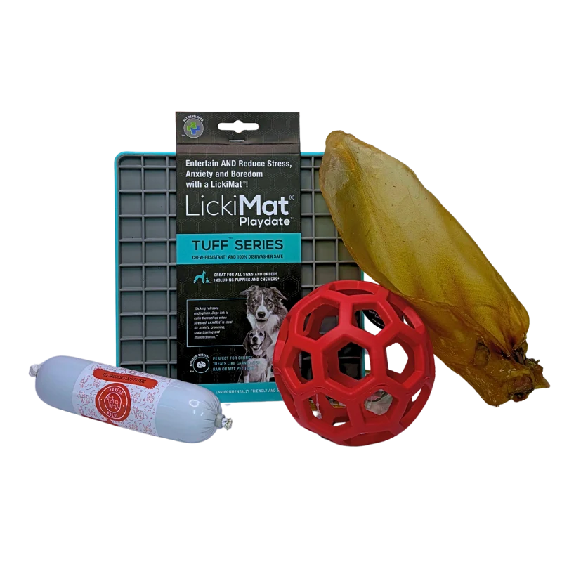 Kit anti ennuie pour chien