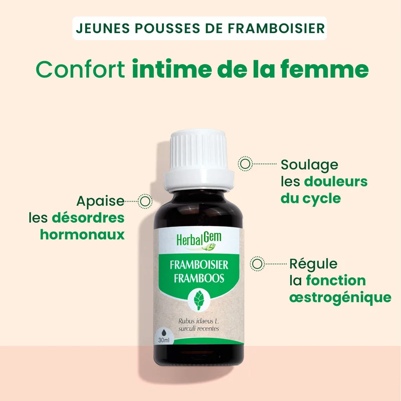 Bourgeon de framboisier - Bio