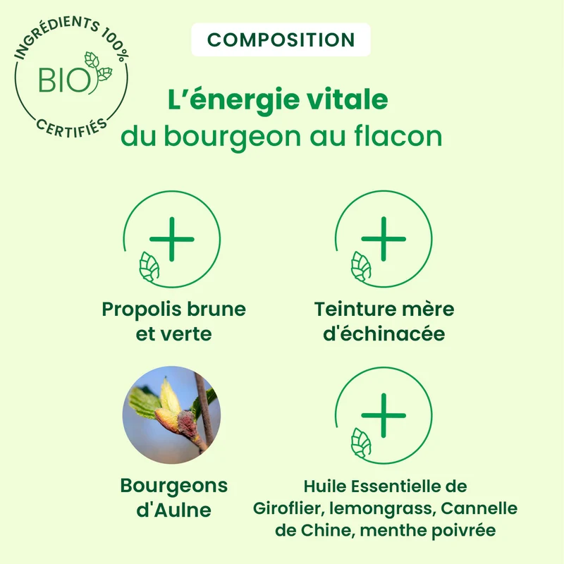 Propolis Gouttes Immunité - Bio