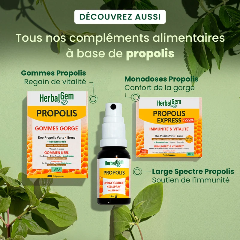 Propolis Gouttes Immunité - Bio