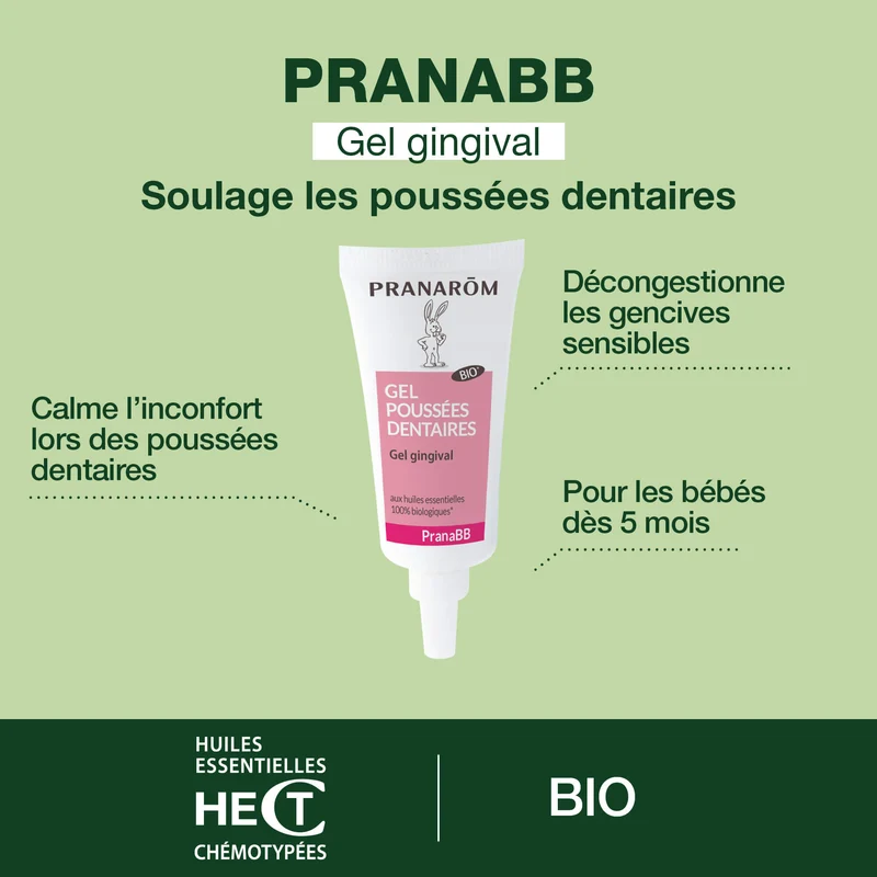 Gel gingival pour poussées dentaires - Bio