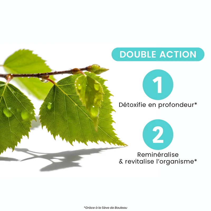 Pure Sève de Bouleau Bio