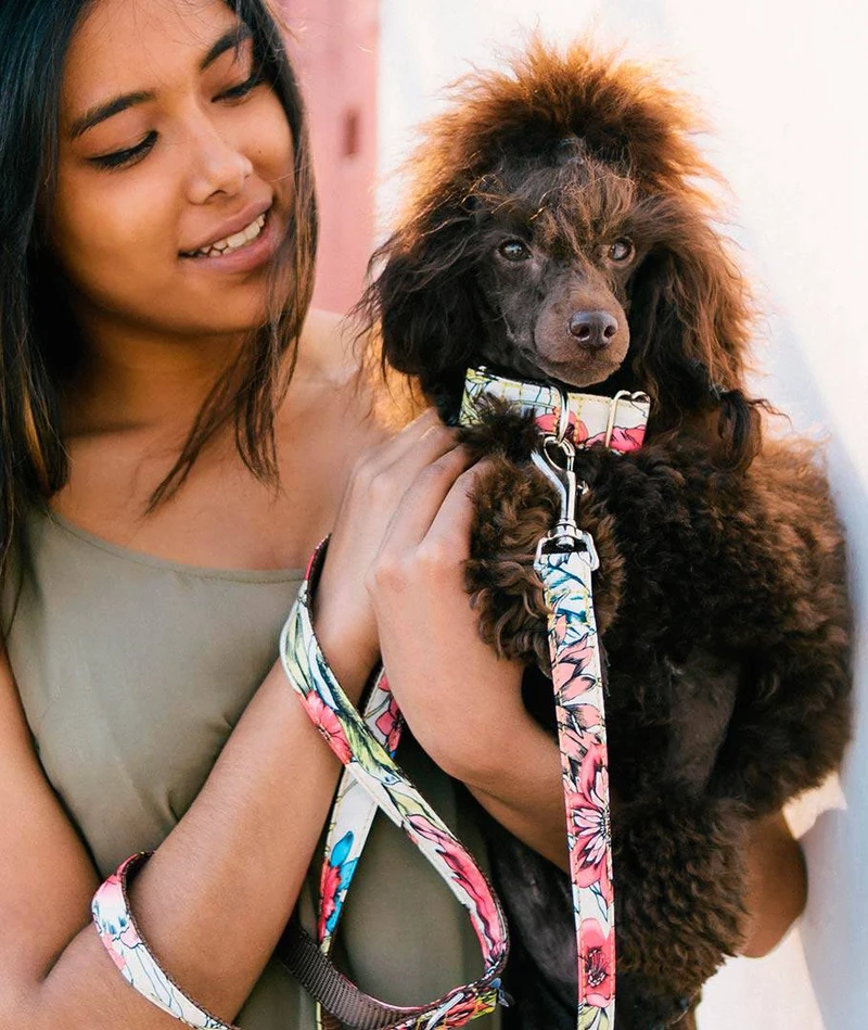 Correa para perro Belladona