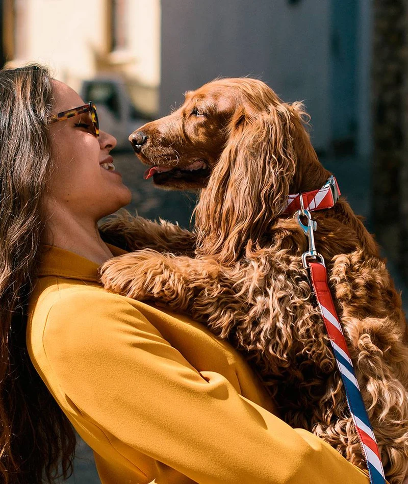 Correa para perro Beleser