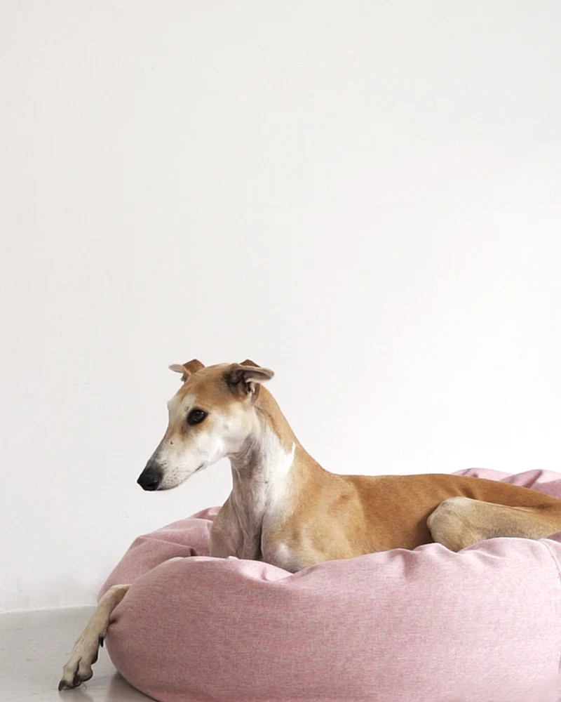 Cama redonda para perro rosa suave