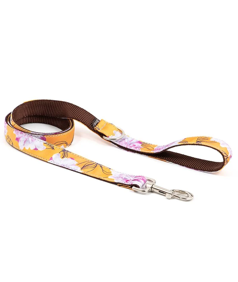 Arnés para perro Teia