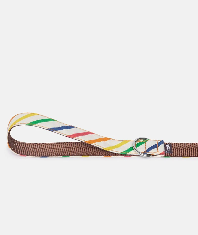 Collar Galgo Maldivas