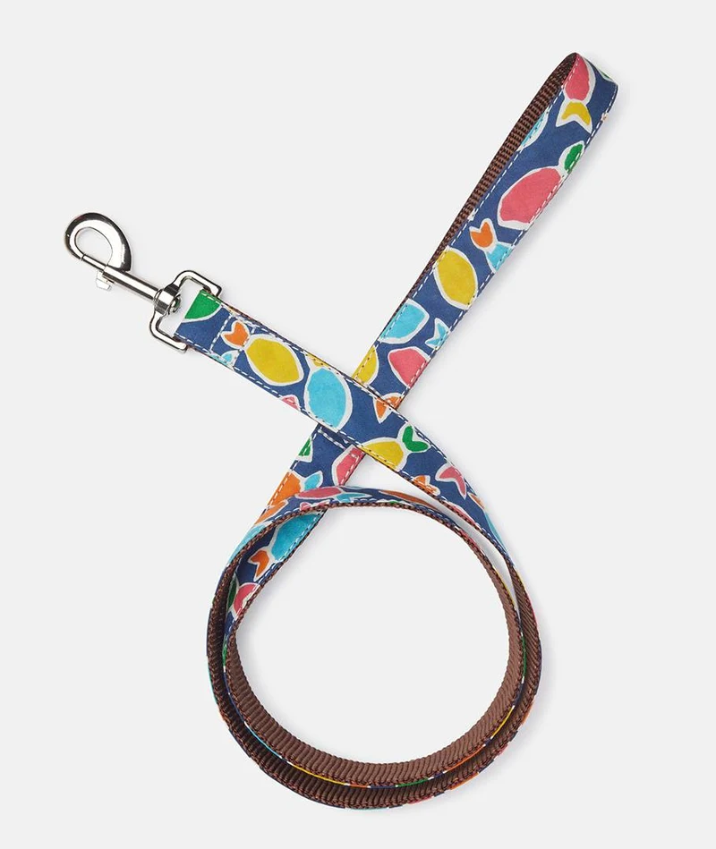 Collar Galgo Hake