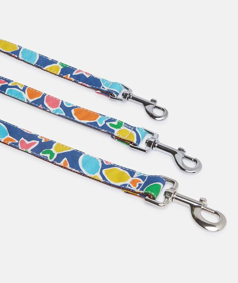 Collar Galgo Hake
