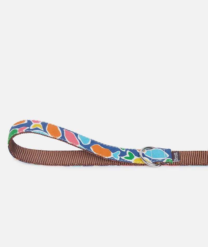 Collar Galgo Hake