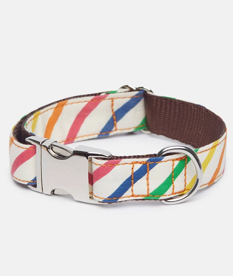 Collar perro Maldivas