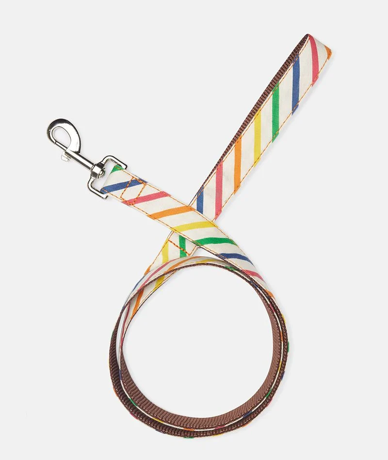 Collar perro Maldivas